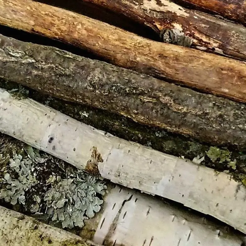 Zum Bau verwendetes Material Holz